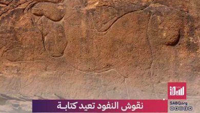 170 نقشًا صخريًا بالحجم الطبيعي في صحراء النفود تكشف أسرارًا عمرها 12 ألف عام.. تعرّف على قصتها