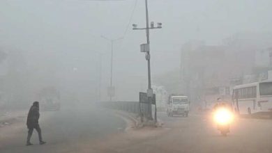 Surprise of pink cold in Rajasthan, temperature below 20 degrees, knows what the weather will be next week.