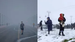 Pink cold hits Northern India, temperature drops from Delhi to Bihar; Read IMD’s update – Aaj Ka Mausam Cold Wave livestock across Northern India Delhi Up Bihar and other contemporary weather