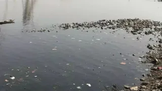 Yamuna will be cleaned with modern technology in Delhi, the river will shine at a cost of Rs 1400 Crore – Yamuna River Cleanup Delhi upgrading sewerage treatment plants