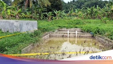 DLH Bogor seals livestock feed factory that falls into the river