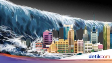 Listening, this is the difference between tsunami alert, advice and watch