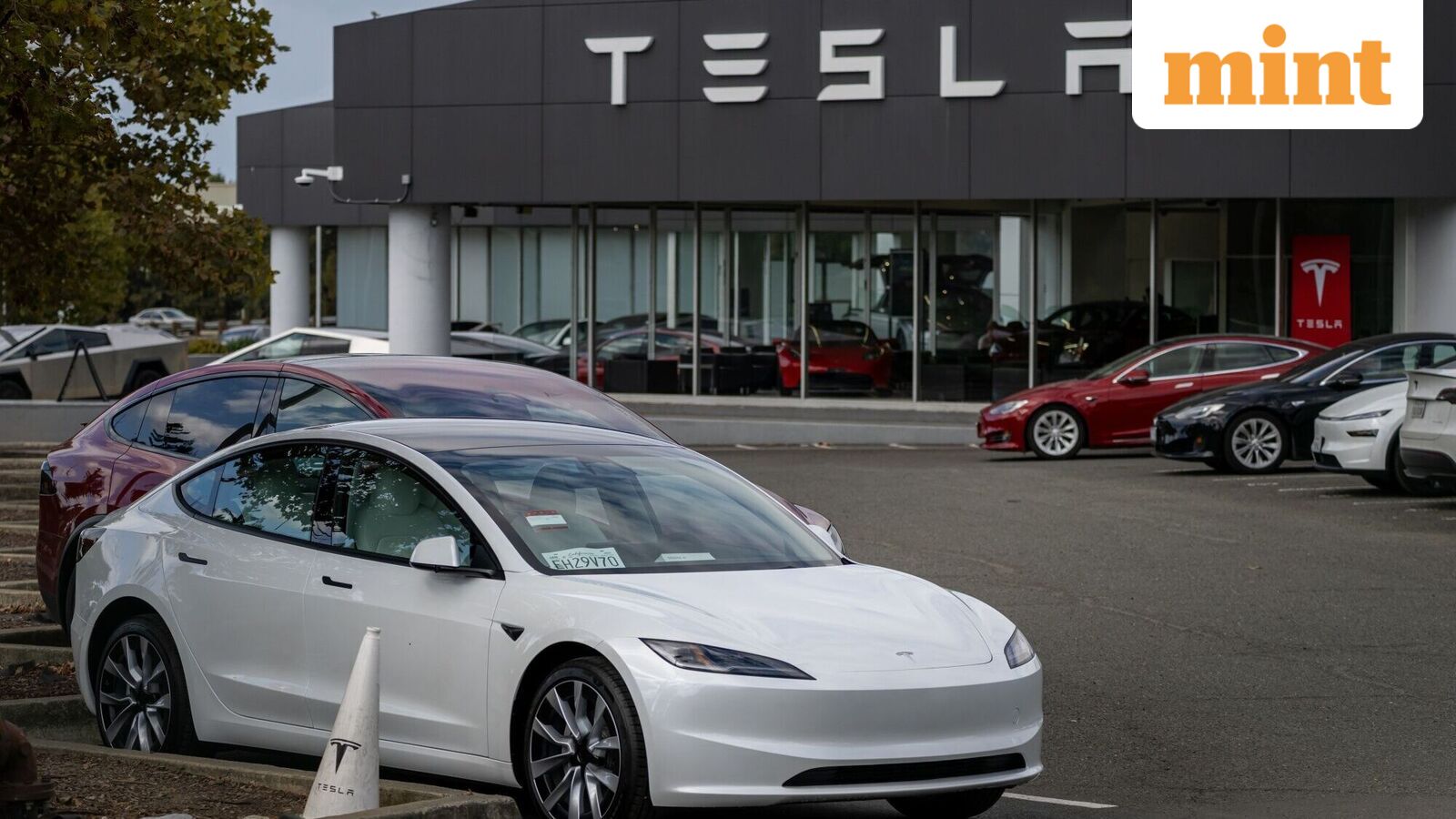 2.9 million Tesla cars have an investigation after owners report accidents with self-management mode: Details