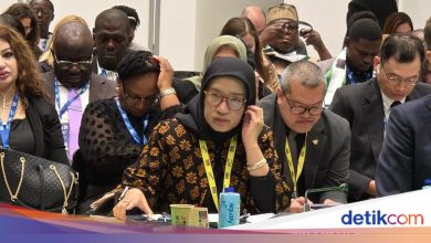 During the OECD session, Menpan-RB is wearing commitment to strengthen open government