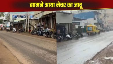 Man recorded the magic of nature on camera, two seasons were seen in one place