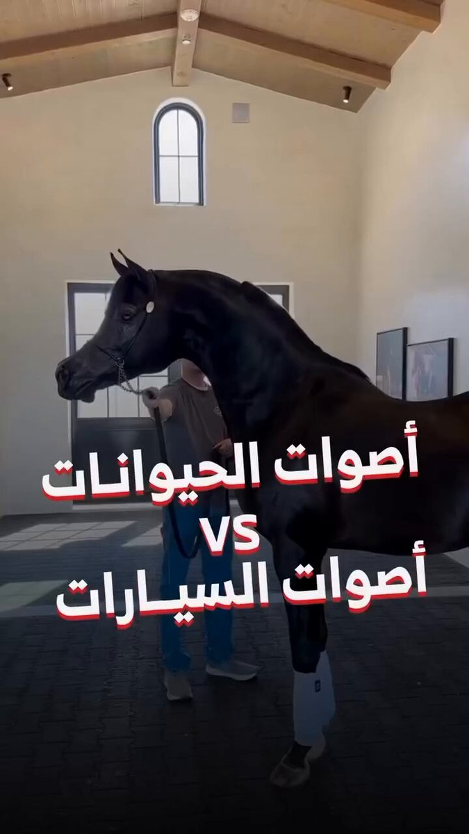 أصوات محركات سيارات تشبه أصوات الحيوانات. وش أجمل صوت برأيك