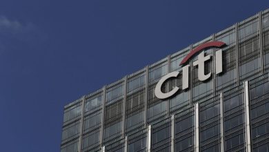 Citigroup: Indian IPOs can raise up to $ 20 billion within a year