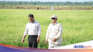 Compass R&D survey: 71.5% of the public is satisfied with the performance of the Ministry of Agriculture
