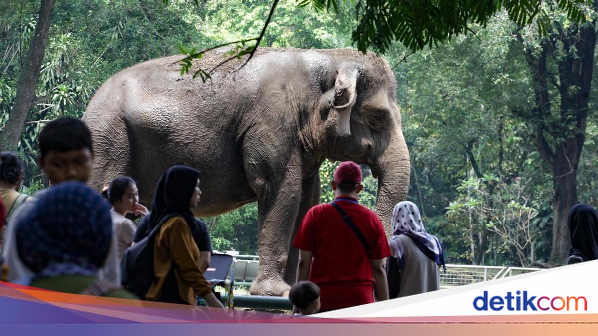 Ragunan Sundries is open for Saturday night tours