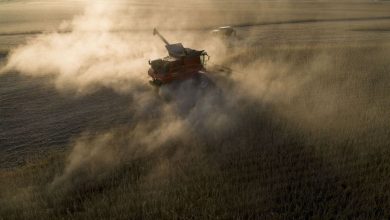 Soybean prices deepen their losses after Trump threatened to set up massive rates on China