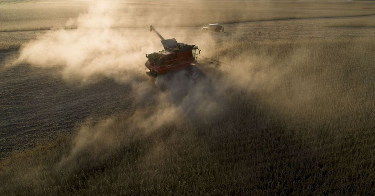 Soybean prices deepen their losses after Trump threatened to set up massive rates on China