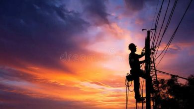 The Lineman got Tandoori chicken as soon as he got on the electric pole! The whole body is burned, the heart will tremble after watching viral video