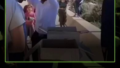 للتخفيف من ذنوبهم، مستوطنون يصطفون وينتظرون دورهم لرفع دجاجة فوق رؤوسهم اعتقادًا بأن ذنوبهم…