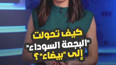البجعة البيضاء.. الخطر الاقتصادي القادم بصمت! التفاصيل مع ميسا عيد
