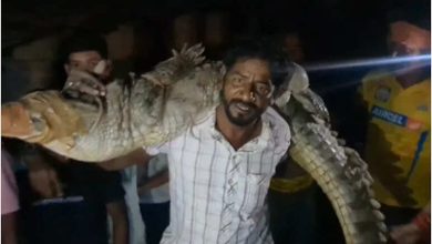8-10 feet long crocodile entered the house in the Banjari village of Kota, panicked among residents