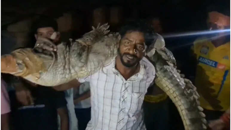 8-10 feet long crocodile entered the house in the Banjari village of Kota, panicked among residents