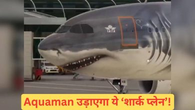 It was the only thing that was missing, people enjoyed seeing the appearance of the aircraft; This video has become viral