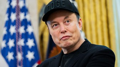 Elon Musk opens again: ‘Built on a lie. They stole a charity! ‘Over non-profit status