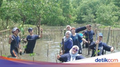 Paragonian movements 2025 to plant 3.500 mangroves in Tanjung Burung Village