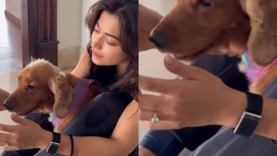 Has Rashmika confirmed Mandanna engagement to Vijay Deveraconda? Actress Ring in New Video | Watch