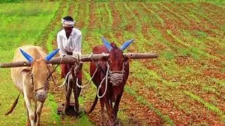 Yogi government will provide more than 92000 mini sets to farmers for Rabi crops and 8385 Kisan Pathshalas to operate.