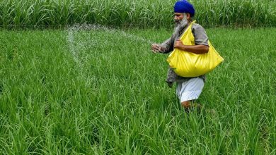 2900% rally over five years! MultiBagger -stock to be in focus on Monday; Here’s why