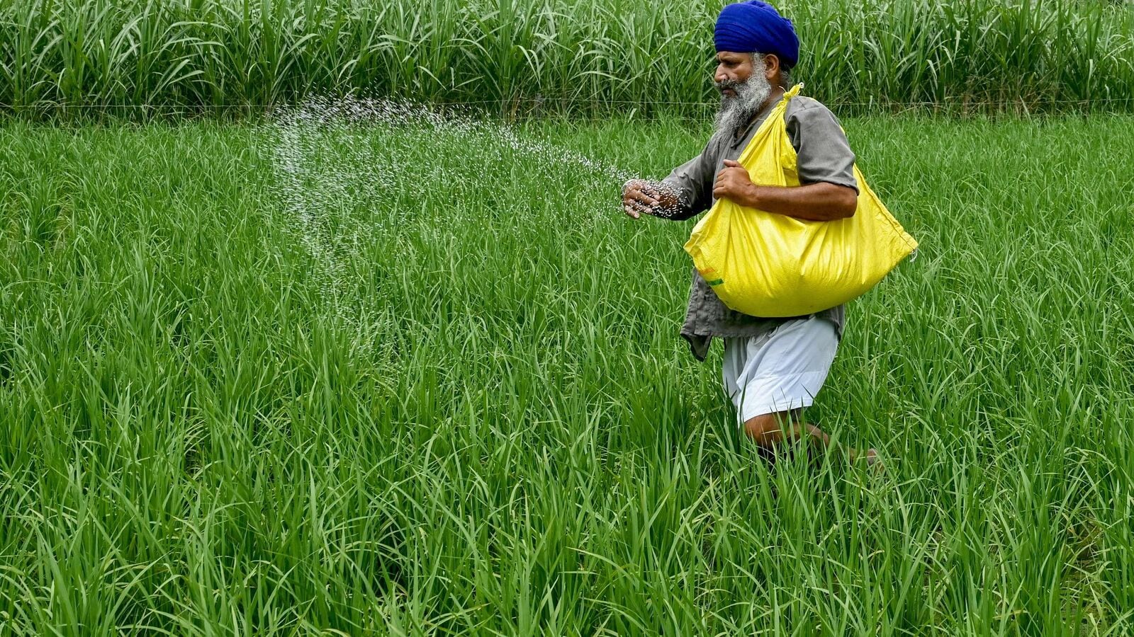 2900% rally over five years! MultiBagger -stock to be in focus on Monday; Here’s why
