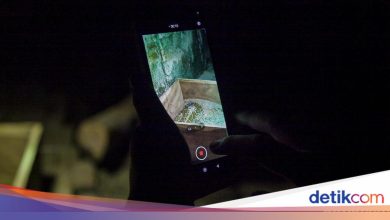 Ragunan Night Tour visitors are disappointed that they can’t see animals, here’s the reason