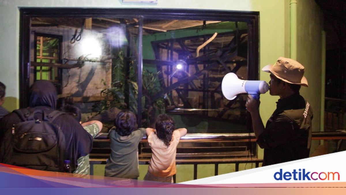 Visitors complain that Ragunan has minimal lighting at night will evaluate management