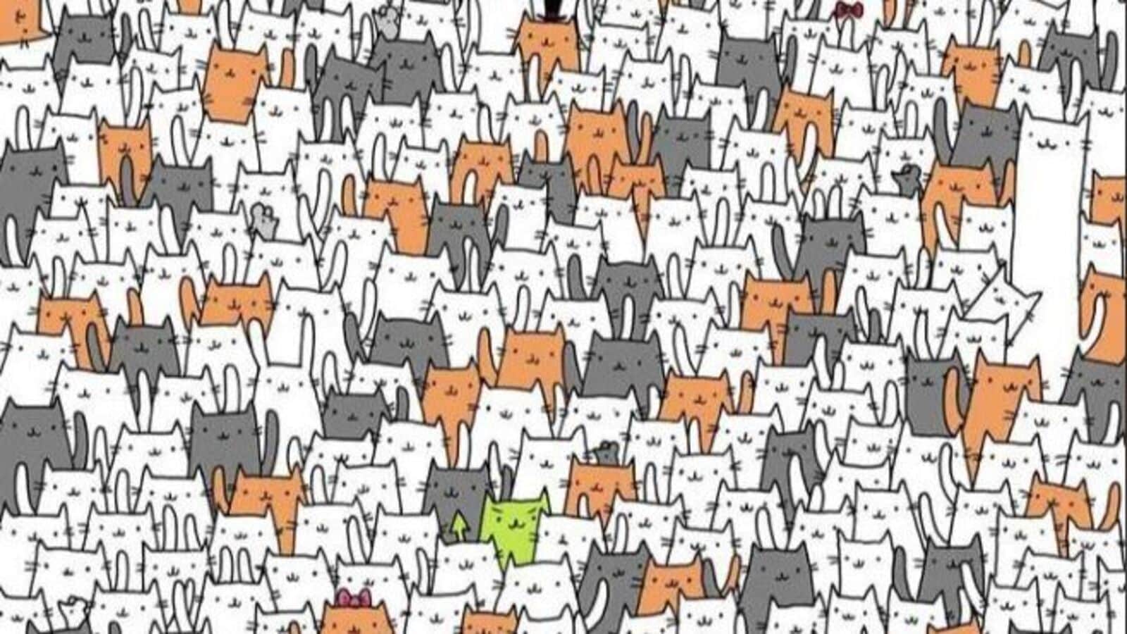 Optical illusion: Viral image hides one bunny among hundreds of cats. Can you see it in 10 seconds?