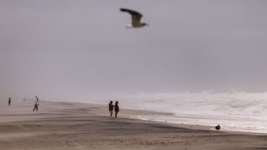 Nor’easter threatens the flooding of the coast: Will it affect the air journey to Washington DC, New York and other cities?