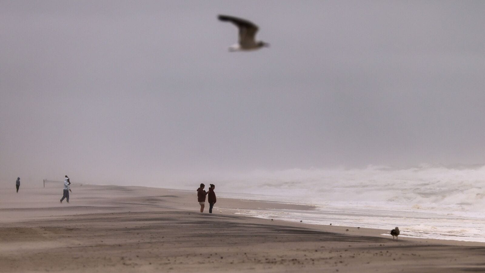 Nor’easter threatens the flooding of the coast: Will it affect the air journey to Washington DC, New York and other cities?