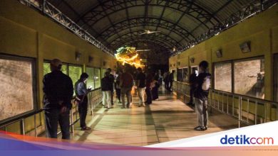 A total of 3,635 residents visited the Ragunan Night Tour today