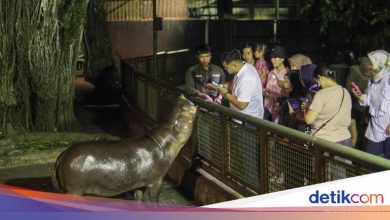 2,299 enthusiastic residents visit Ragunan Night Tour today