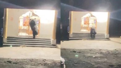 Bear became a dedicated shiva, recorded in dedication and the bell in the temple rang, this video of cancer goes viral