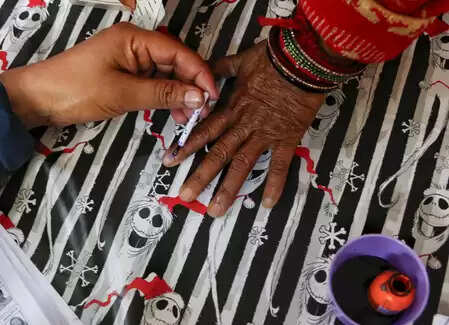 Delhi: Preparations for by-elections reinforced in 12 MCD divisions