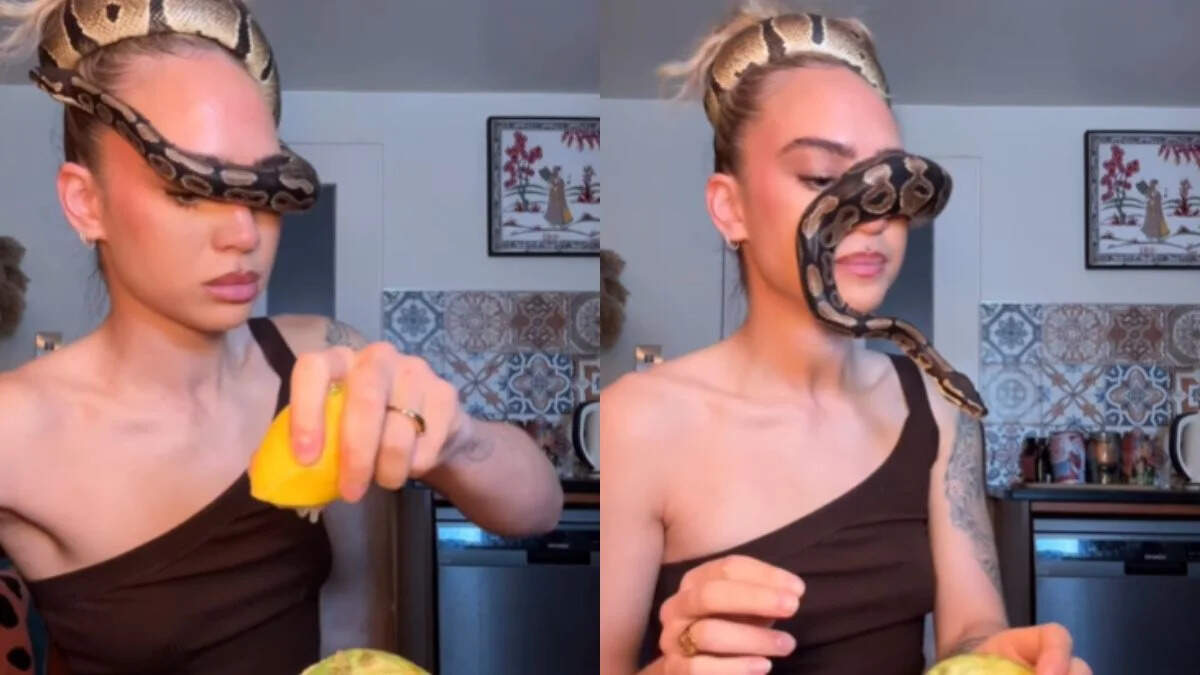 Video of girl who is breakfast with snake is viral, people on social media said in fear and surprise: ‘Her hobbies are even more dangerous than men’