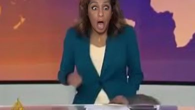 مذيعة الجزيرة تهرب على الهواء بعد ظهور فأر: هذه حقيقة الفيديو