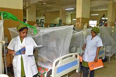 Bangladesh: Another five deaths due to dengue, death toll so far in 2025 230