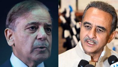 Shehbaz Sharif of Pakistan, Premier Modi to send Kirti Vardhan: Who are 20 leaders to attend Sharm El-Sheikh Peace Summit?