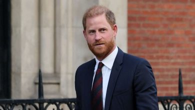 Did Prince Harry stretch his relationship with King Charles because of police protection protection? Insider says …