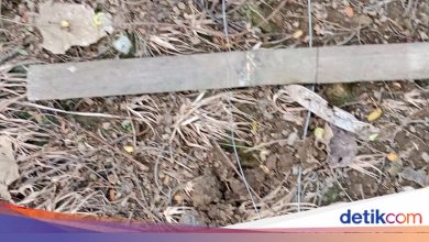 Farmer in sukabumi dies due to electrocusion by pig trap he has installed