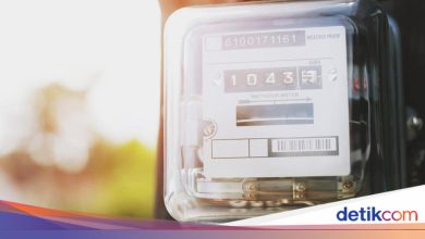 Information on PLNelectricity complaint, look here!