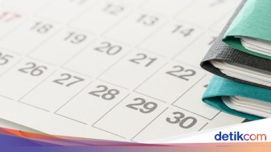 Is there a red date in November 2025? Look here!