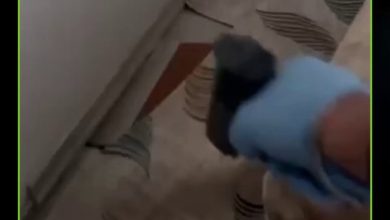 مطلوب منذ أكثر من عقد.. الشرطة التركية تعثر على هارب بعد 11 سنة في مخبأ تحت منزل. #تركيا