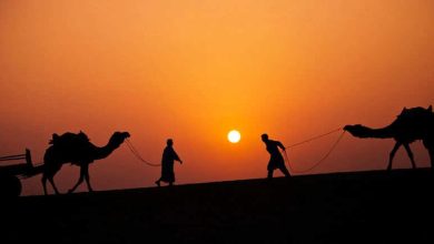 Winter shows rapid increase in rajasthan, temperature droplets, severe cold will fall in these cities