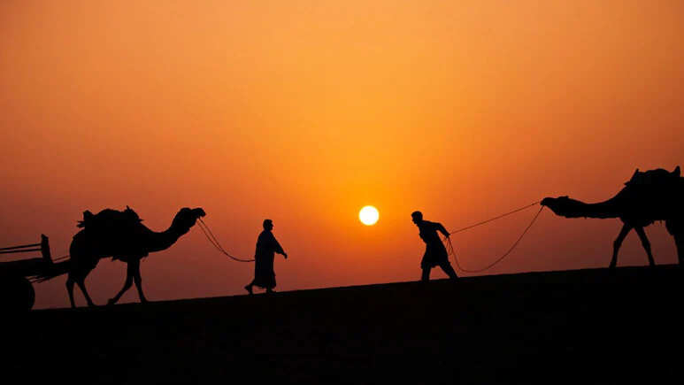 Winter shows rapid increase in rajasthan, temperature droplets, severe cold will fall in these cities