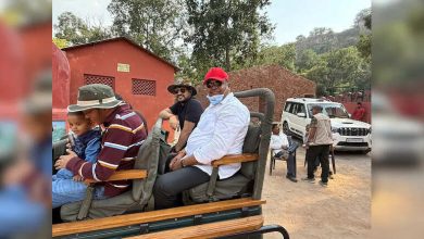 Bos Minister continued to wander in the Ranthambore Tiger Reserve without notifying anyone even the forest department had no idea