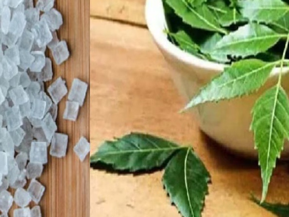 Get relief from diseases with the help of taking-mishri!