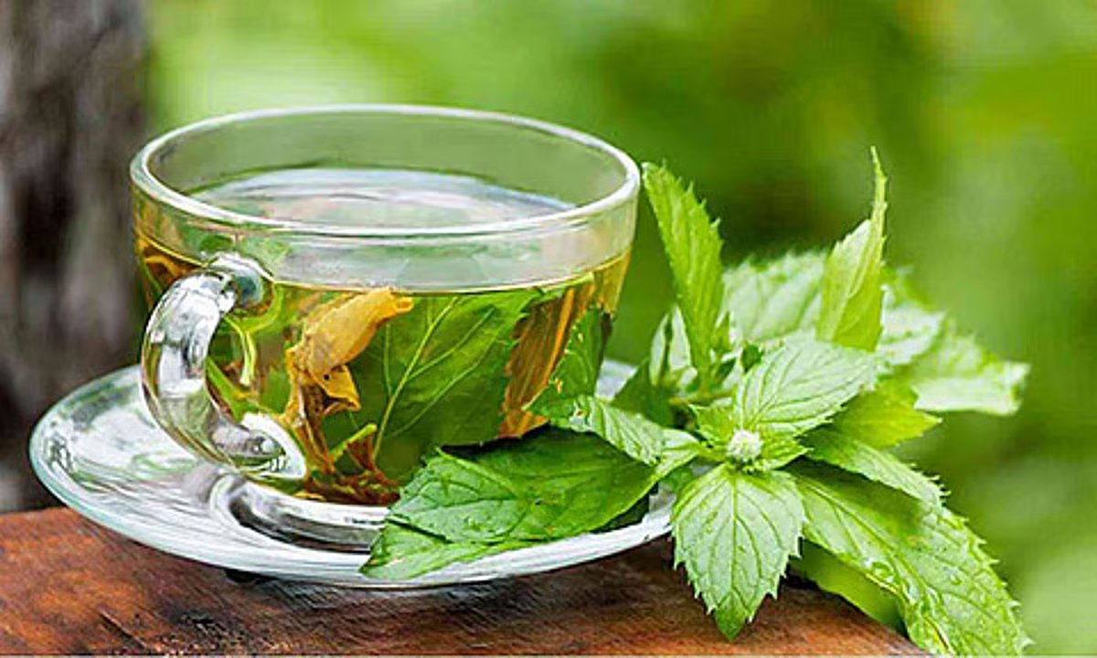 الشاي الأخضر وصحة الكبد.. دراسة يابانية تكشف الفوائد. دراسة من جامعة كاغوشيما: الاستهلاك…